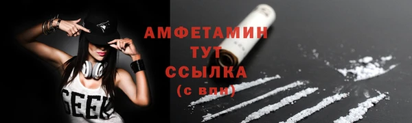 сатива Армянск