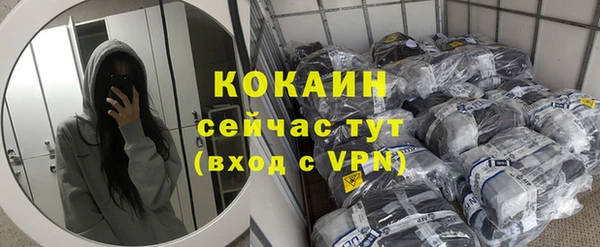сатива Армянск