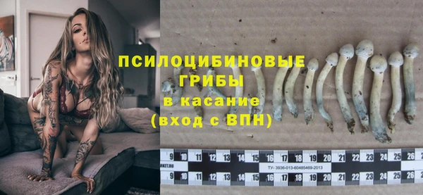 сатива Армянск