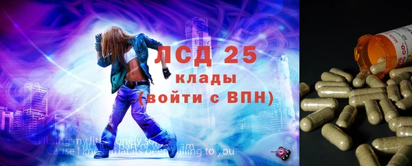 сатива Армянск