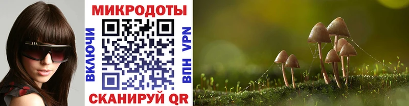 Купить  Бор  Псилоцибиновые грибы ЛСД 